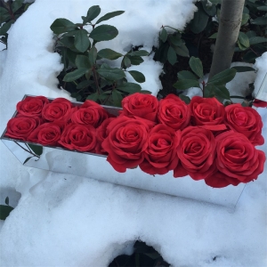 boîte mirrored roses éternelles imperméables pour boîte acrylique de 18 roses rectangle 