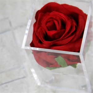 Boîtes de roses à un seul trou étanches pour de beaux cadeaux 