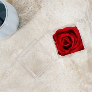 boîtes mini roses imperméables de luxe 1 pour l'événement de mariage 