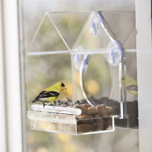 Cage à oiseaux en acrylique transparent 