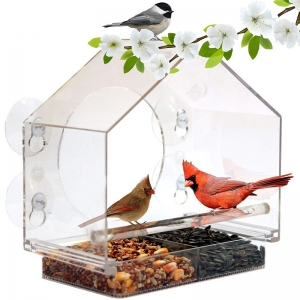 Cage à oiseaux en acrylique transparent 