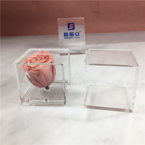 mini boîte à fleurs rose acrylique carrée amovible 