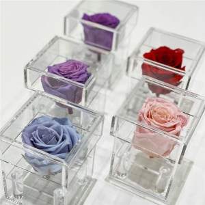 mini boîte à fleurs en plexiglas transparent 