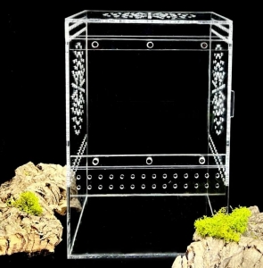 ARBOREAL Enclos Reptile Terrarium Tarentule Scorpion Cage 
