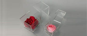 nouvelle boîte à fleurs acrylique unique à venir