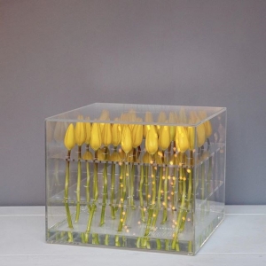 Boîte de rangement de fleurs acrylique étanche en gros 