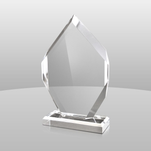 Trophée #acrylique #trophy award # trophée personnalisé