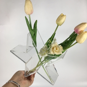 boîte à fleurs en acrylique transparent en forme de pentacle 