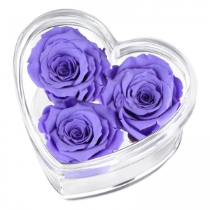 En forme de coeur 6 trous acrylique fleur de la rose boîte de plexiglas boîte-cadeau 