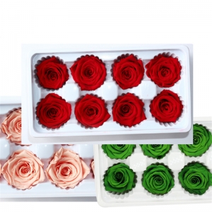 Tête de bourgeons de fleurs de rose préservés de qualité Eternal préservé à la vente en gros 