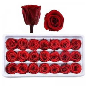  2021 Cadeaux de la fête des mères chaudes pour toujours une tête de bourgeon de fleurs de rose préservé éternel 