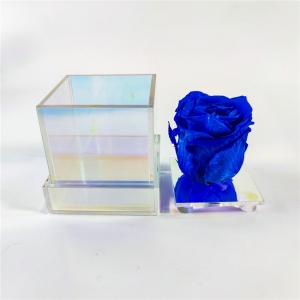 Wholesale arc-en-ciel perspex boîte acrylique rose éternelle 