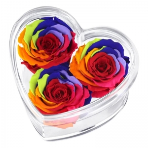 Coeur en forme de coeur 3 trous Boîtes à fleurs Rose acryliques 