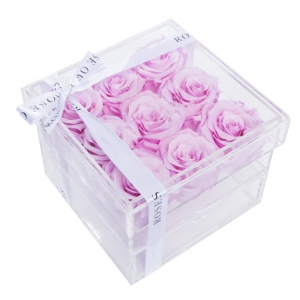 boîte acrylique rose stabilisée