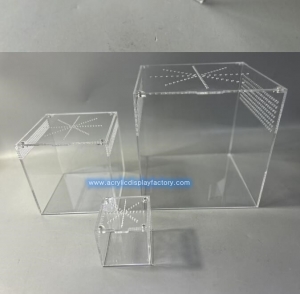 Boîtier d'élevage de tarentules en acrylique transparent pour reptiles 