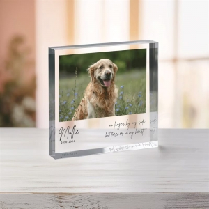 plaque photo acrylique personnalisée en acrylique pour animaux de compagnie