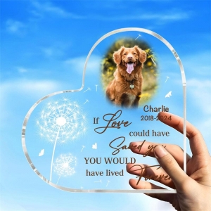 plaque pour animaux de compagnie en acrylique décoratif en forme de cœur pour le salon 