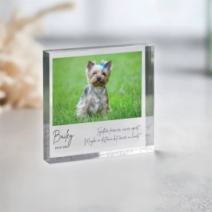 Cadeaux de blocs de cadre photo acrylique OEM pour les anniversaires 