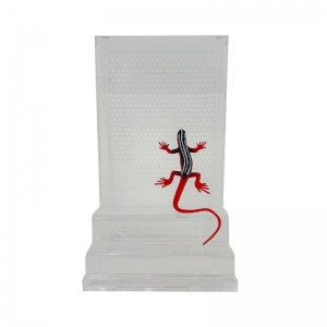 Enceinte en acrylique pour gecko avec options personnalisées 