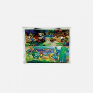 Boîte en acrylique Pokémon Mini 8 en gros 
