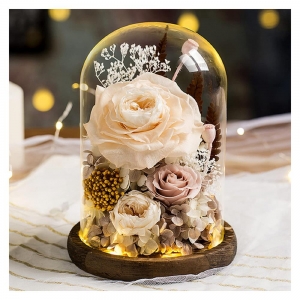 couvercle de dôme en plastique transparent