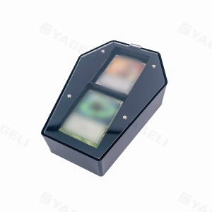 Boîte de rangement pour cartes en acrylique en forme de cercueil 