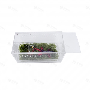 Cage de transport pour reptiles en acrylique, style tiroir 