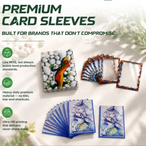 Fournisseur OEM de classeurs de cartes 