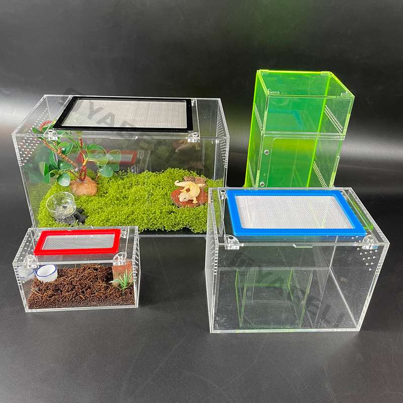 Aperçu du secteur : les enclos en acrylique pour animaux de compagnie redéfinissent l'affichage et la fonction des animaux exotiques et de petite taille